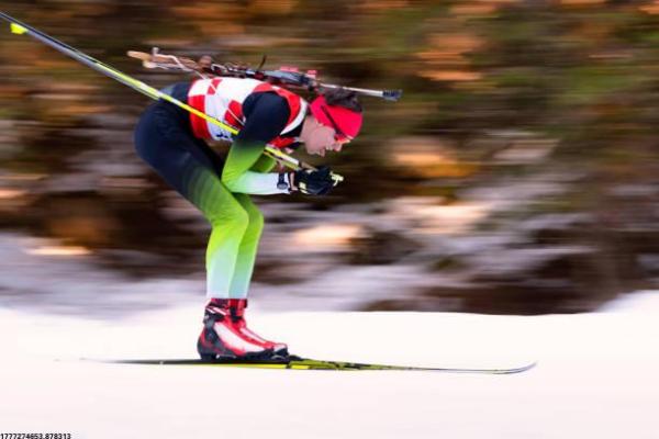 星火体育培训有限公司发展模式分析(图1)